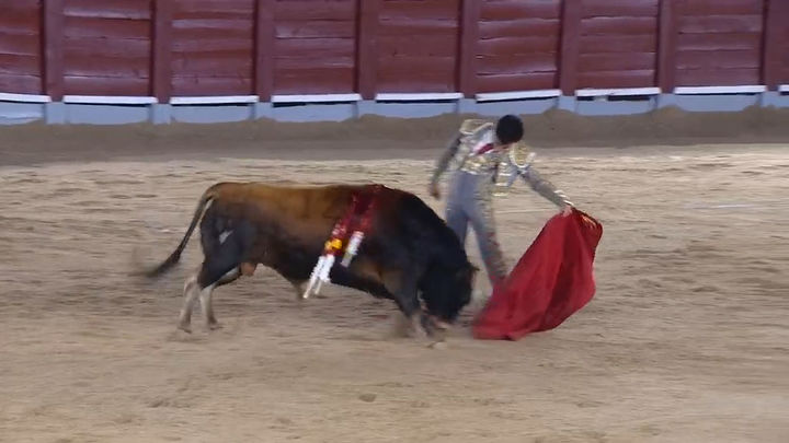 Gran novillada con picadores desde Navacerrada: Nacho Torrejón, López Ortega y David Gutiérrez