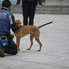 Un perro policía delata a un ‘camello’ en Chamberí con droga y más de 1.000 euros en efectivo