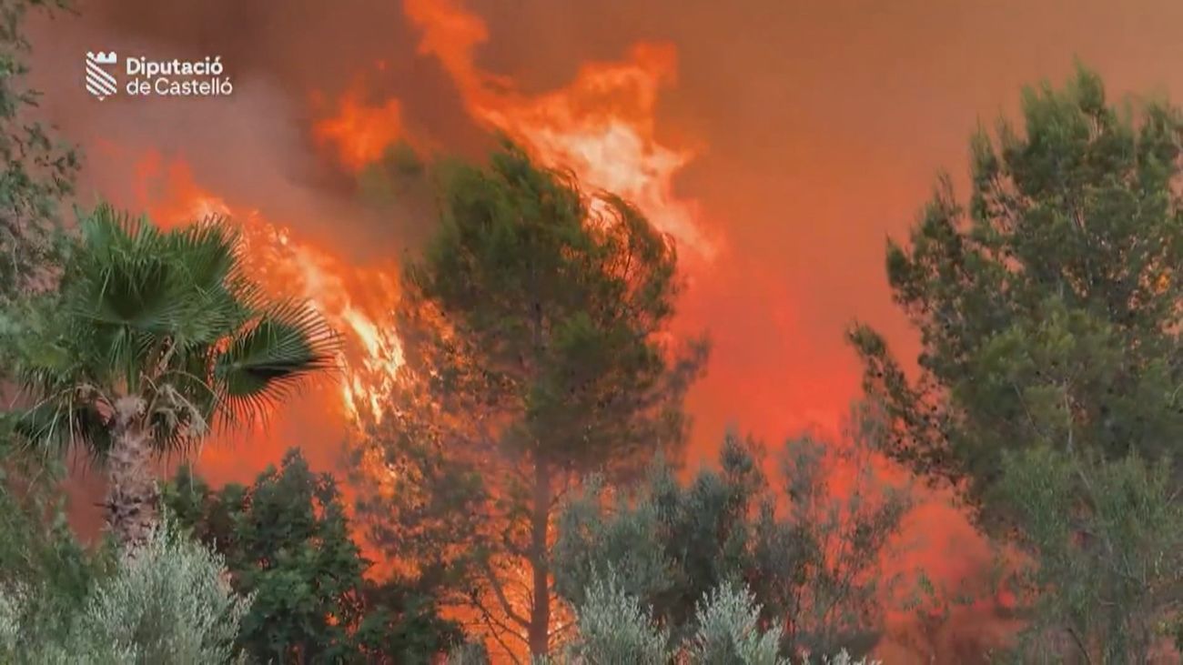 El incendio de Soneja (Castellón) quema 181 hectáreas de pinar y matorral y sigue activo