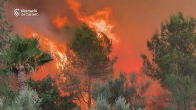 El incendio de Soneja (Castellón) quema 181 hectáreas de pinar y matorral y sigue activo