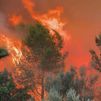 El incendio de Soneja (Castellón) quema 181 hectáreas de pinar y matorral y sigue activo
