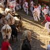 Primer encierro de San Fermín 2026