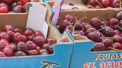 ¿Cerezas o picotas? Estas son las diferencias y curiosidades