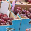 ¿Cerezas o picotas? Estas son las diferencias y curiosidades