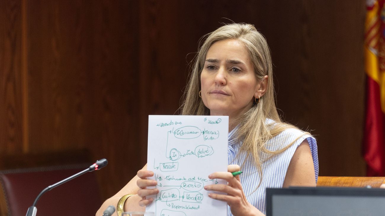 Aagesen niega presiones de Moncloa en los rescates de Plus Ultra, Air Europa y Tubos Reunidos