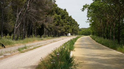 Autorizado el tráfico de doble sentido en la vía pecuaria de Perales del Río, Getafe
