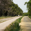 Autorizado el tráfico de doble sentido en la vía pecuaria de Perales del Río, Getafe