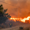 La clase política traslada sus condolencias por el incendio mortal de Almería