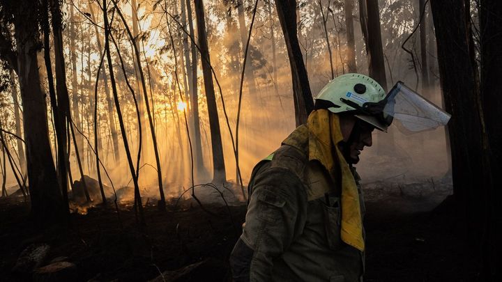 Los expertos alertan de la falta de prevención