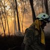 Los expertos alertan de la falta de prevención y la escasez de aviones FOCA en plena campaña de incendios