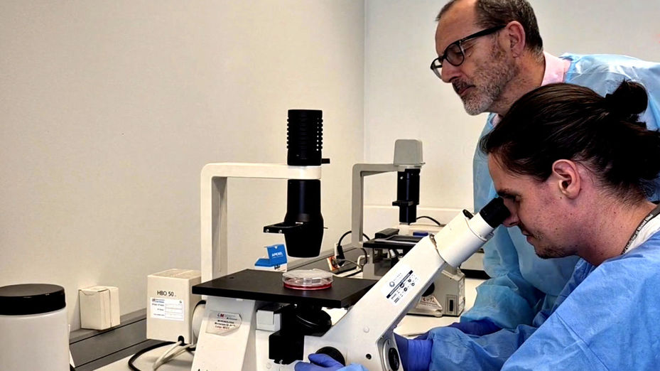 Una vacuna oral ensayada en Madrid contra una variante del virus del Ébola muestra su eficacia