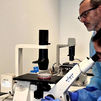 Una vacuna oral ensayada en Madrid contra una variante del virus del Ébola muestra su eficacia