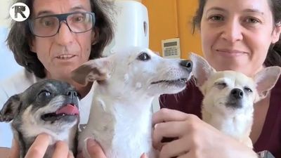 El doble desahucio de una familia y sus mascotas en el barrio de Lacoma, en Fuencarral