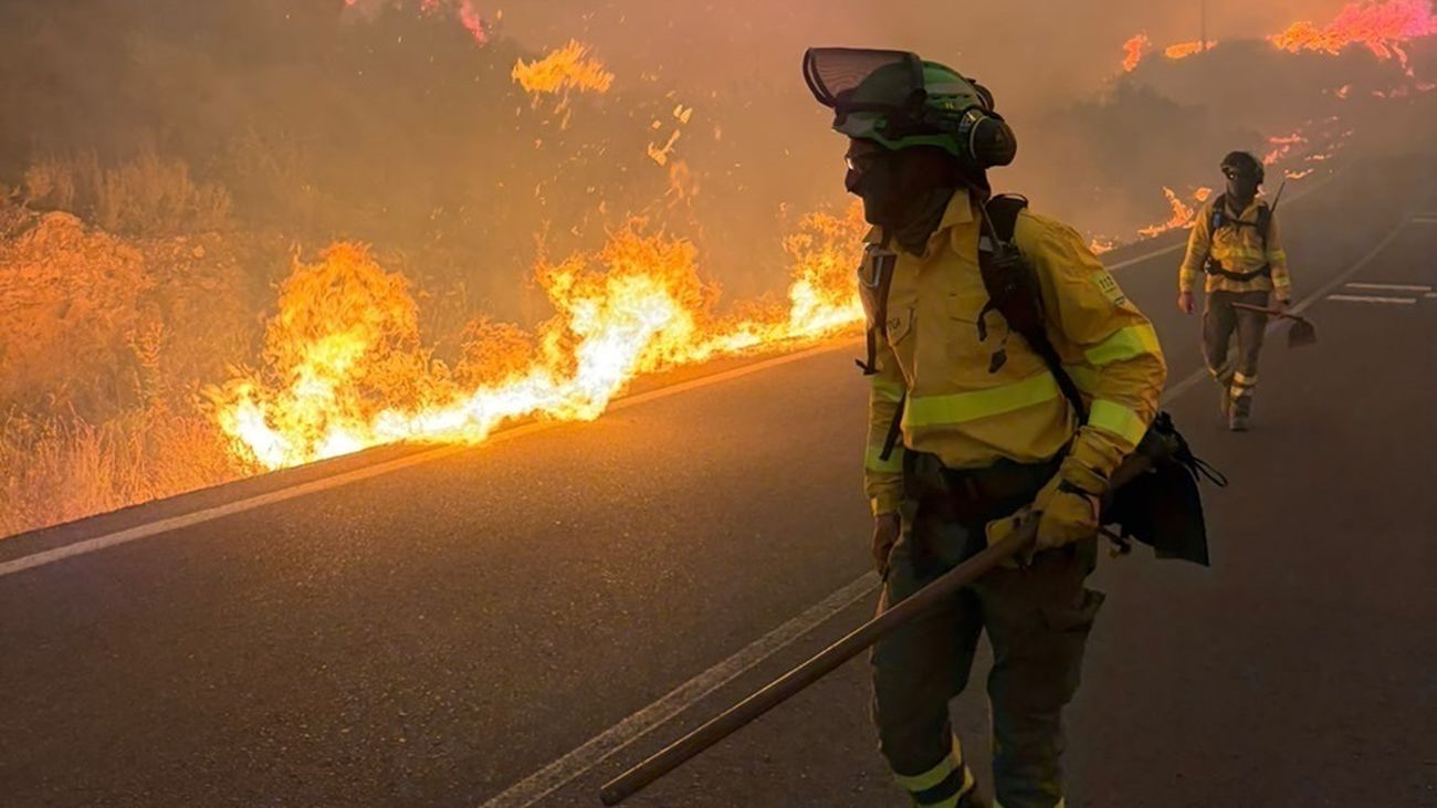 Grave incendio forestal de Los Gallardos (Almería)