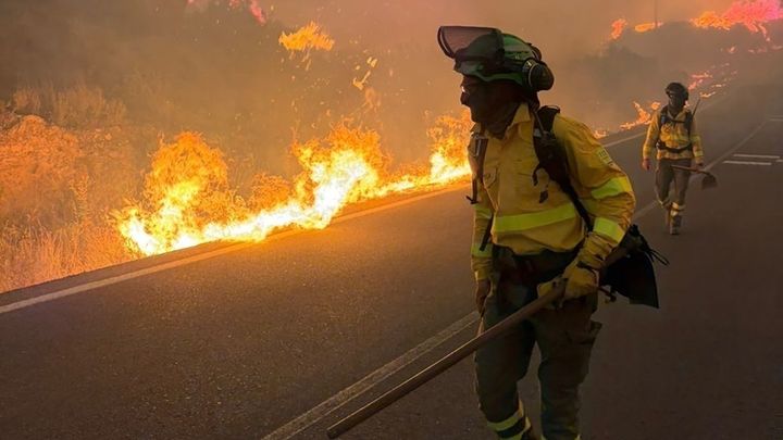 Grave incendio forestal de Los Gallardos (Almería)