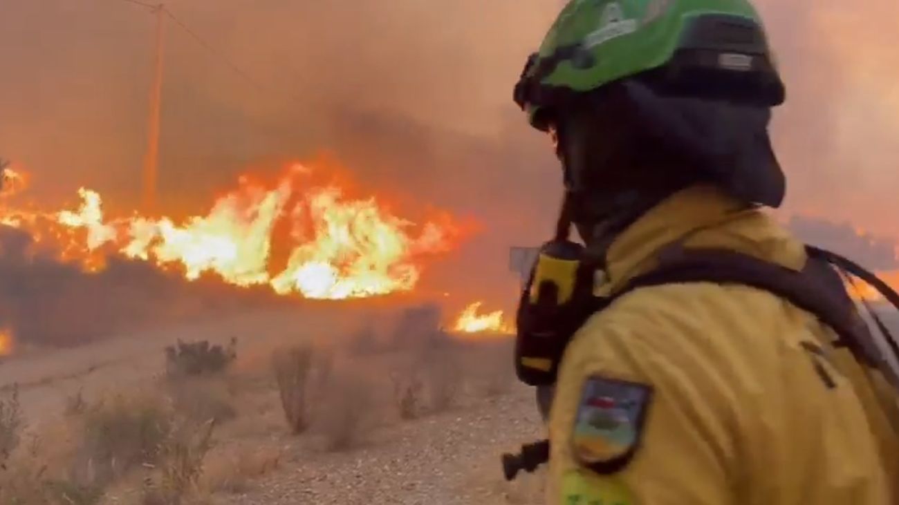 Las primeras imágenes del lugar en que se originó el incendio de Los Gallardos: "Está todo calcinado"