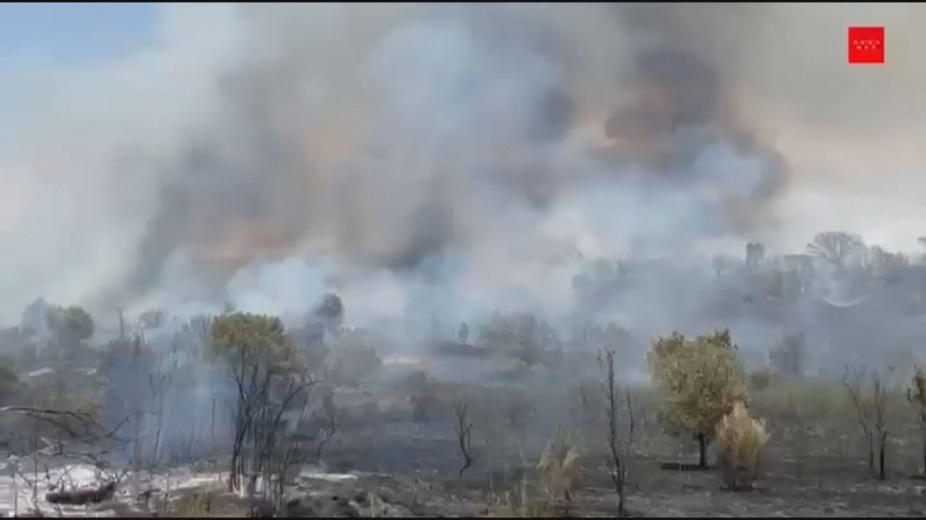 Estabilizado un incendio de pasto en Villaviciosa de Odón tras arrasar 15 hectáreas