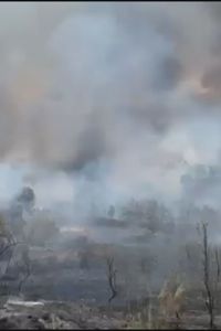 Estabilizado un incendio de pasto en Villaviciosa de Odón tras arrasar 15 hectáreas