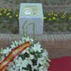 Miguel Ángel Blanco ya da nombre al hasta ahora conocido como Parque de Las Cárcavas de Majadahonda