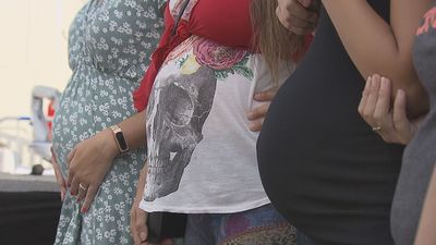 Entra en vigor la Ley del Concebido no nacido de la Comunidad de Madrid