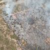 Un incendio forestal en Mont-roig del Camp (Tarragona) obliga a a cortar la A-7 y las vías del tren