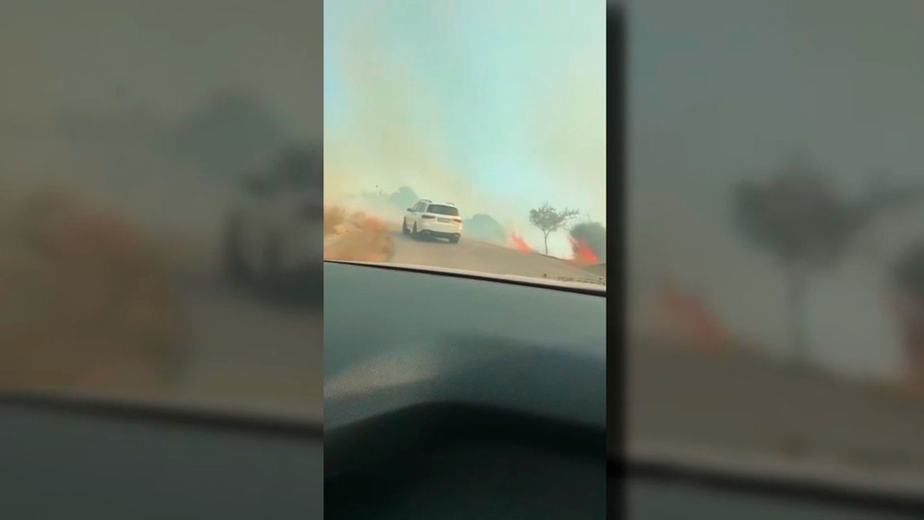 Los dramáticos vídeos de la huida del incendio de Los Gallardos (Almería): atrapados entre el humo y las llamas