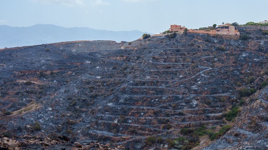 El incendio de Los Gallardos (Almería) no avanza y la perspectiva de estabilización es favorable