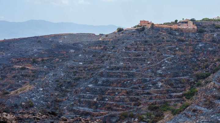 El incendio de Almería no avanza y la perspectiva de estabilización es favorable
