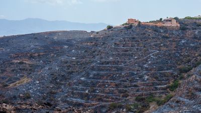 El incendio de Los Gallardos (Almería) no avanza y la perspectiva de estabilización es favorable