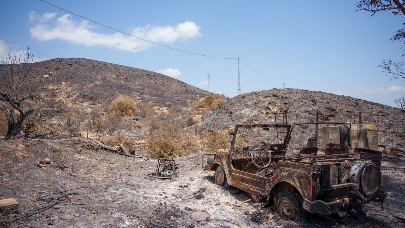 Finalizan las batidas por el incendio forestal de Almería sin encontrar más víctimas