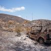 Finalizan las batidas por el incendio forestal de Almería sin encontrar más víctimas