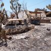 "Podemos dar gracias de que estamos vivos", la desoladora vuelta a casa de los desalojados por el incendio de Los Gallardos, Almería