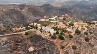 Moreno da por controlado el incendio forestal de Los Gallardos (Almería)
