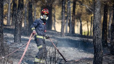 La mayoría de los incendios forestales en Madrid en este 2026 se quedan en conatos
