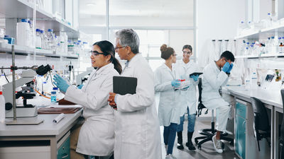 La Universidad Politécnica de Madrid ofrece 48 puestos de trabajo