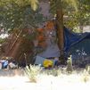 Los asentamientos ilegales y la suciedad agravan el deterioro del Parque Emperatriz María de Austria en Carabanchel