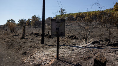 El incendio de Lozoyuela baja a nivel 1 y se desactiva la UME tras quedar estabilizado