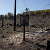 El incendio de Lozoyuela, ya estabilizado, desciende a nivel 1 por su evolución favorable