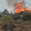 Investigado un agricultor como posible responsable del incendio de La Mierla en Gaudalajara, mientras cosechaba