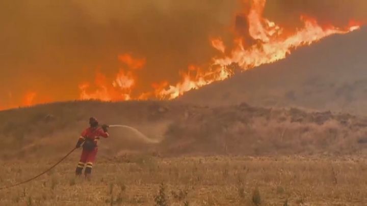 El viento complica los fuegos Guadalajara y Zaragoza aún fuera de control