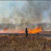Un incendio de vegetación obliga a cortar la M-521 en Villanueva de la Cañada