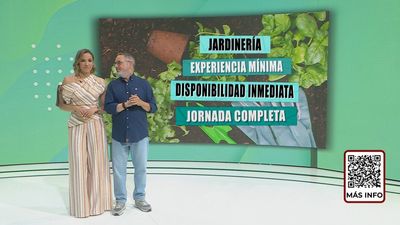 Ofertas de empleo de Madrid Trabaja 18.07.2026
