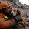 Qué hacer con tu mascota si hay un incendio: los consejos clave de una veterinaria para proteger a perros y gatos
