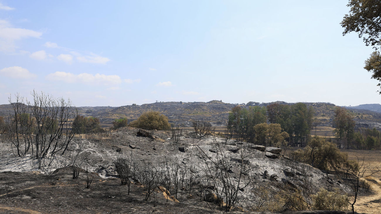 El avance del incendio de Orés (Zaragoza) pone en preaviso a cuatro municipios más