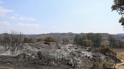 El avance del incendio de Orés (Zaragoza) pone en preaviso a cuatro municipios más
