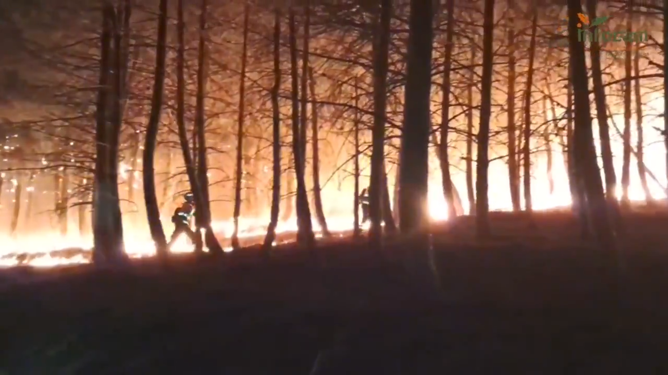 Siguen las labores de extinción en el incendio de Guadalajara, que no está controlado