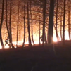Siguen las labores de extinción en el incendio de Guadalajara, que no está controlado