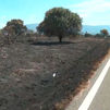 El incendio de Lozoyuela está controlado y se mantienen patrullas de vigilancia
