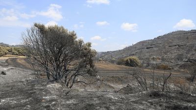 Estabilizado el incendio de Orés (Zaragoza) tras quemar 14.400 hectáreas