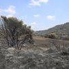 Estabilizado el incendio de Orés (Zaragoza) tras quemar 14.400 hectáreas